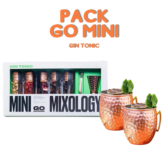 Mini Mixology a elección + Pack 2 Mugs