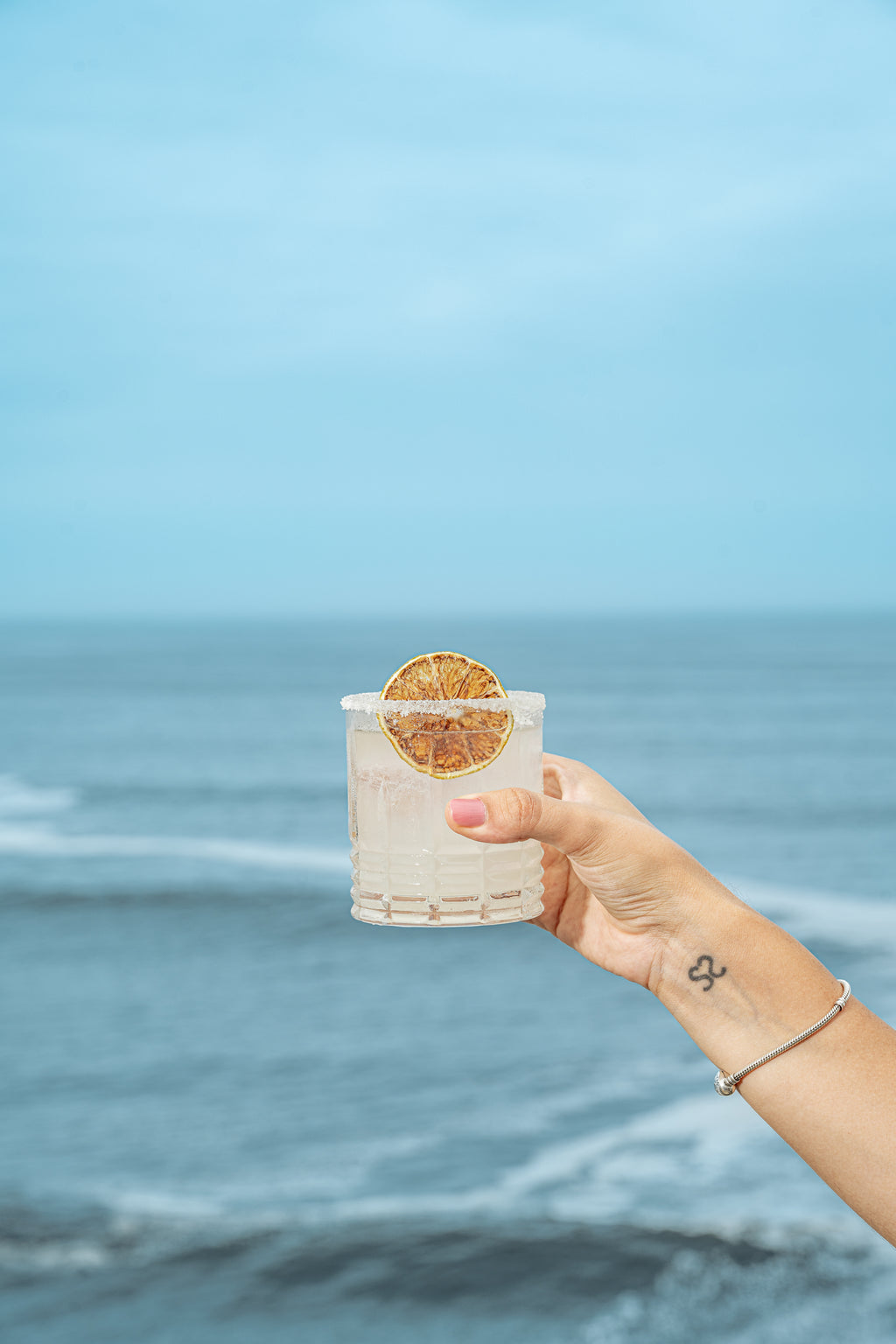 Mix Sales & Especies de Coctelería para Margarita & Michelada Lime